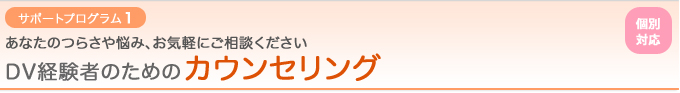 【サポートプログラム1：個別対応】あなたのつらさや悩み、お気軽にご相談ください　『DV経験者のためのカウンセリング』